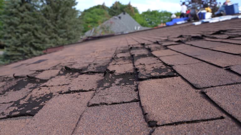 Best 4 Ply Roofing  in Sault Ste Marie, MI