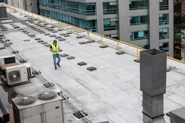 Best Skylight Installation and Repair  in Sault Ste Marie, MI