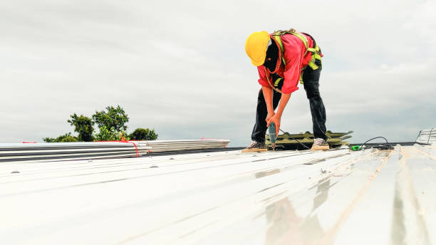 Best Solar Panel Roofing Installation  in Sault Ste Marie, MI