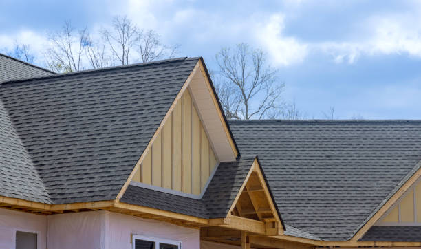 Best Roof Moss and Algae Removal  in Sault Ste Marie, MI