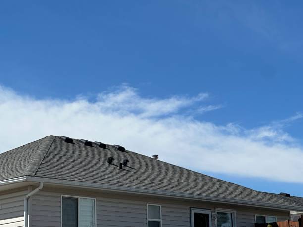 Best Rubber Roofing (EPDM, TPO)  in Sault Ste Marie, MI